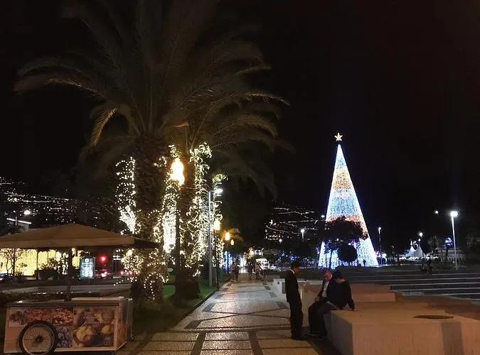 Orquidea 公寓 丰沙尔